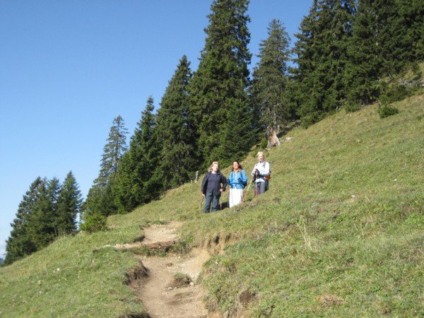 vereinsausflug2008_010.jpg