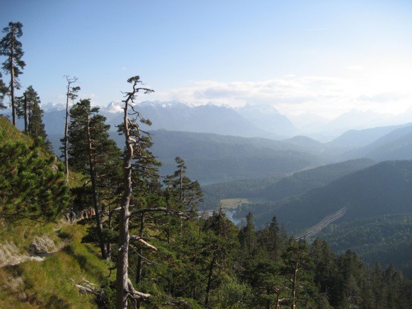 vereinsausflug2008_028.jpg